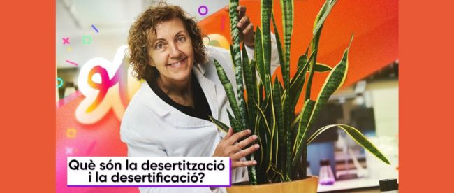 la desertificació i la desertització